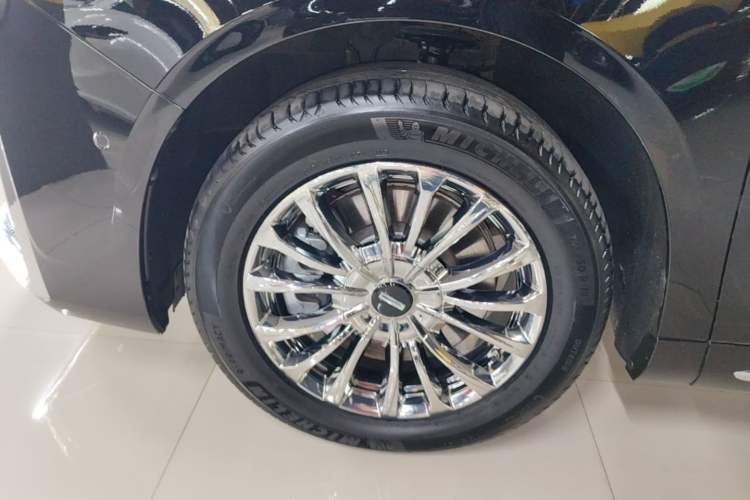 Used Wey Gaoshan 2025 Four-Wheel Drive Alpine 8 Exterior 4
