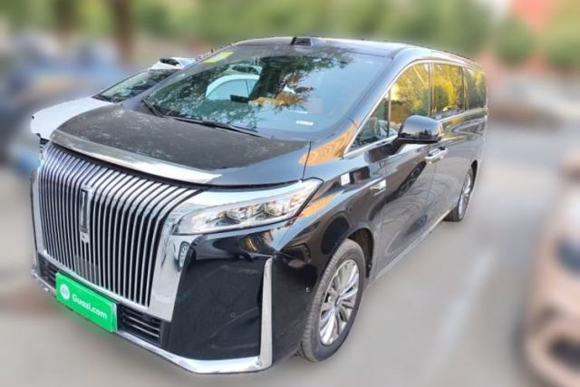 Used Wey Gaoshan 2025 Four-Wheel Drive Alpine 9
