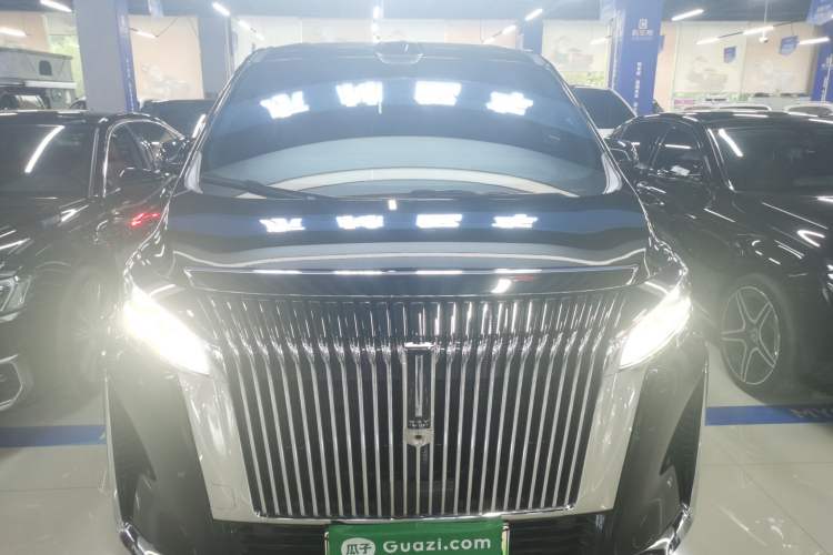 Used Wey Gaoshan 2025 Four-Wheel Drive Alpine 8 Front