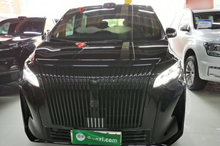 Used Wey Gaoshan 2025 Four-Wheel Drive Alpine 8 Front