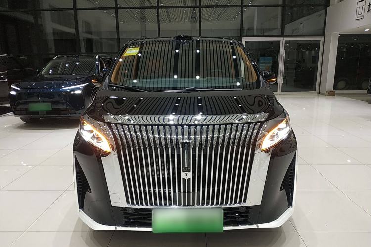 Used Wey Gaoshan 2025 Four-Wheel Drive Alpine 9 Front