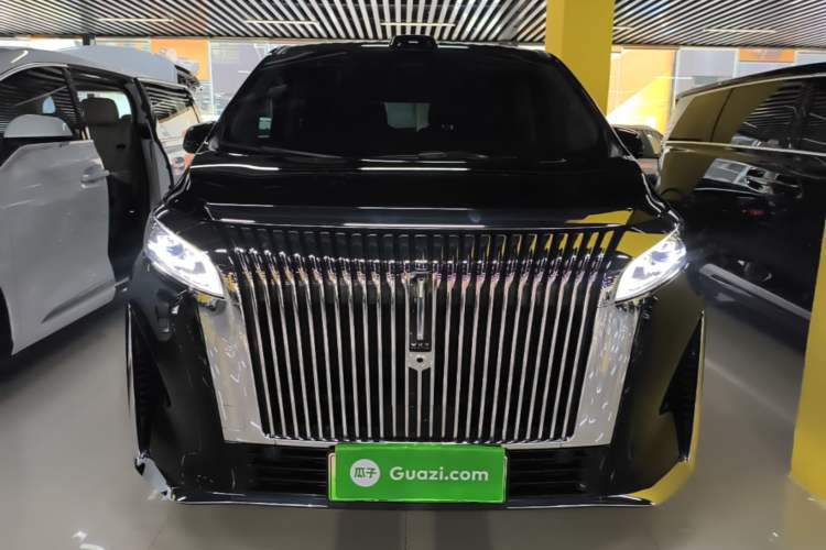 Used Wey Gaoshan 2025 Four-Wheel Drive Alpine 9 Front