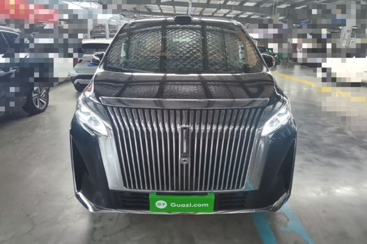Used Wey Gaoshan 2025 Four-Wheel Drive Alpine 9 Front