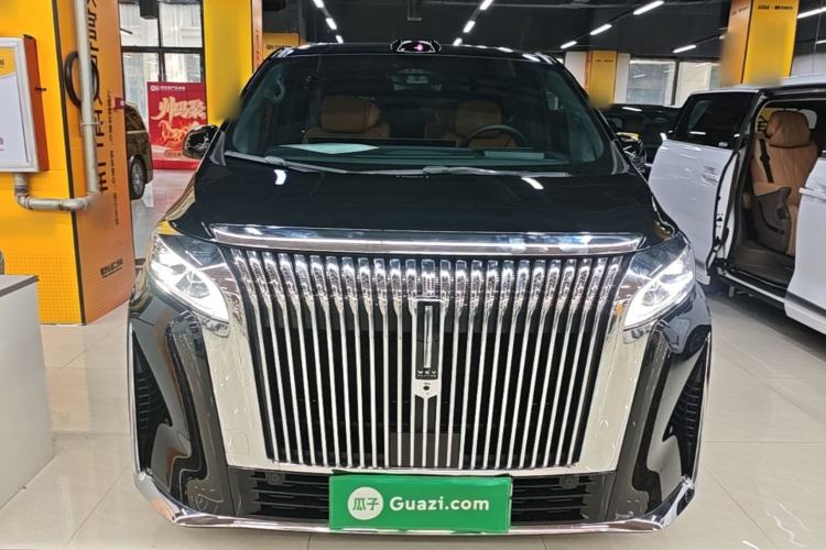 Used Wey Gaoshan 2025 Four-Wheel Drive Alpine 8 Front