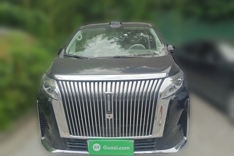 Used Wey Gaoshan 2025 Four-Wheel Drive Alpine 8 Front