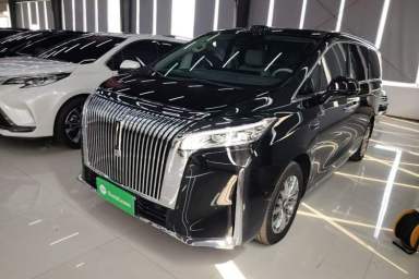 Used Wey Gaoshan 2025 Four-Wheel Drive Alpine 8
