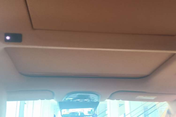 Used Wey Gaoshan 2025 Four-Wheel Drive Alpine 8 Headliner
