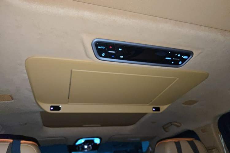 Used Wey Gaoshan 2025 Four-Wheel Drive Alpine 8 Headliner