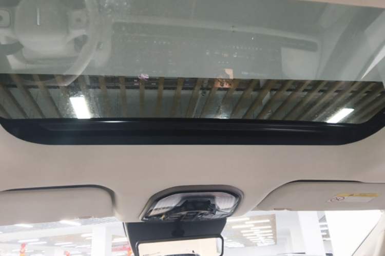 Used Wey Gaoshan 2025 Four-Wheel Drive Alpine 8 Headliner