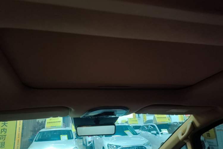 Used Wey Gaoshan 2025 Four-Wheel Drive Alpine 8 Headliner