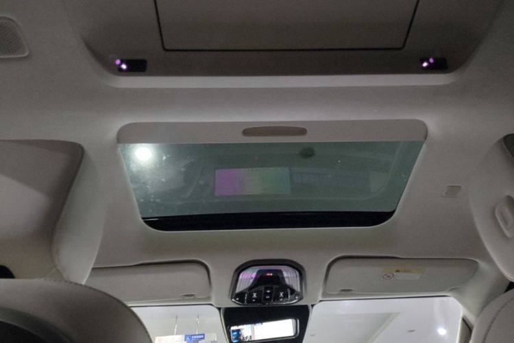 Used Wey Gaoshan 2025 Four-Wheel Drive Alpine 8 Headliner