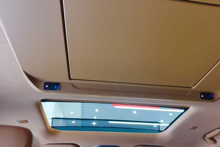 Used Wey Gaoshan 2025 Four-Wheel Drive Alpine 8 Headliner