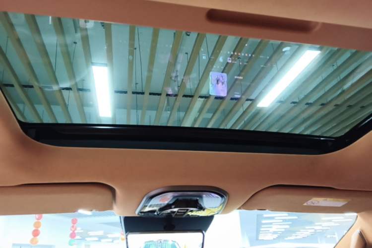 Used Wey Gaoshan 2025 Four-Wheel Drive Alpine 8 Headliner