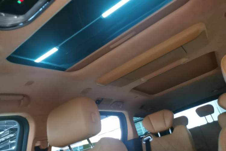 Used Wey Gaoshan 2025 Four-Wheel Drive Alpine 8 Headliner