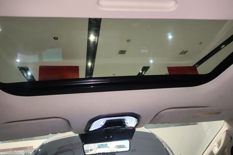 Used Wey Gaoshan 2025 Four-Wheel Drive Alpine 8 Headliner