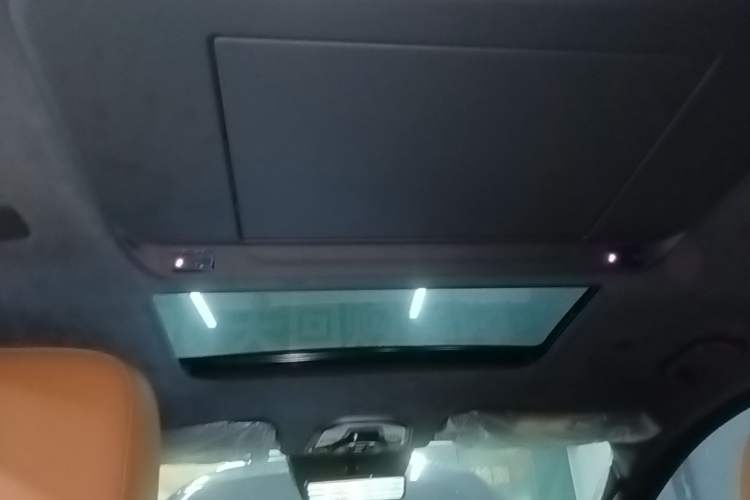 Used Wey Gaoshan 2025 Four-Wheel Drive Alpine 8 Headliner