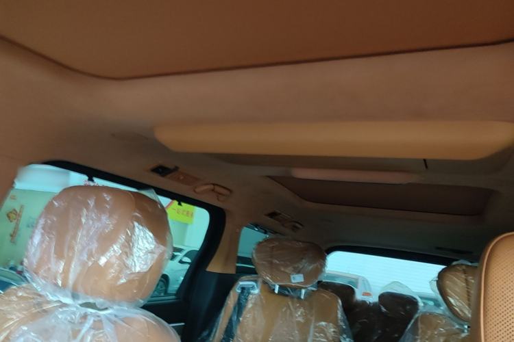 Used Wey Gaoshan 2025 Four-Wheel Drive Alpine 8 Headliner
