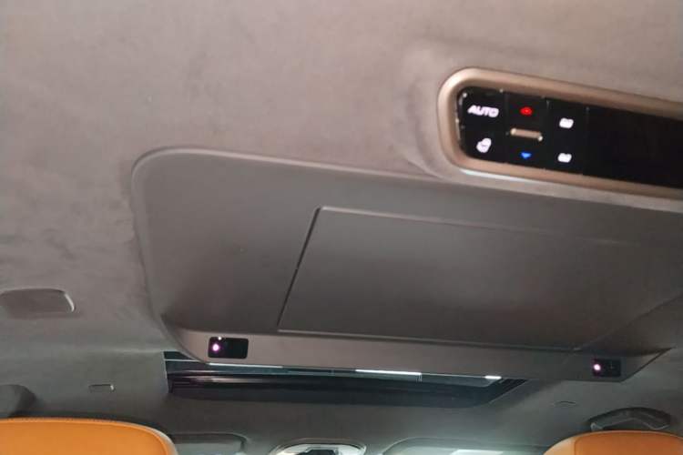 Used Wey Gaoshan 2025 Four-Wheel Drive Alpine 8 Headliner