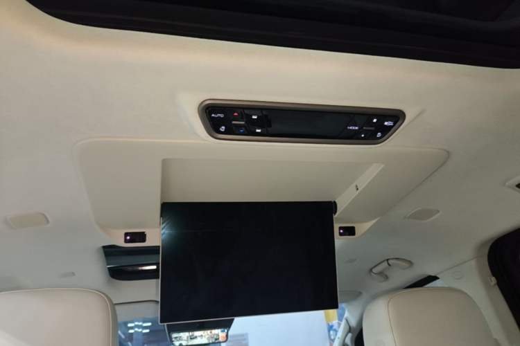 Used Wey Gaoshan 2025 Four-Wheel Drive Alpine 8 Headliner