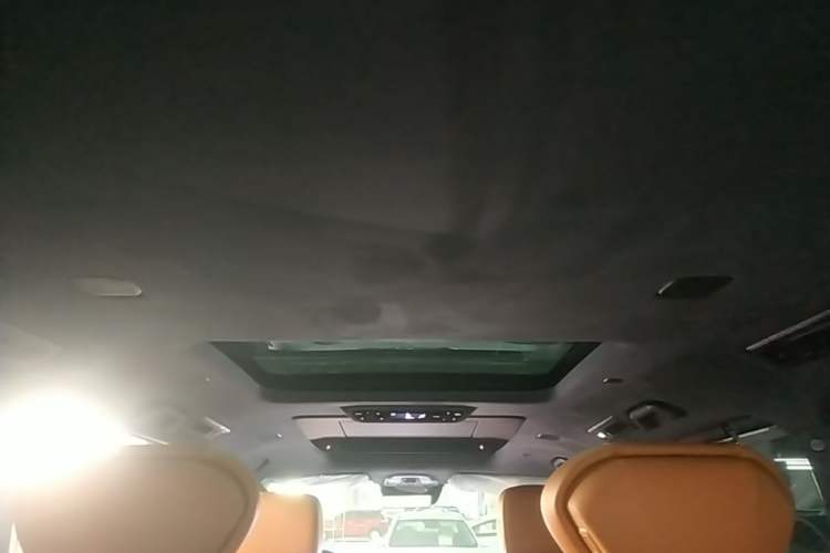Used Wey Gaoshan 2025 Four-Wheel Drive Alpine 8 Headliner