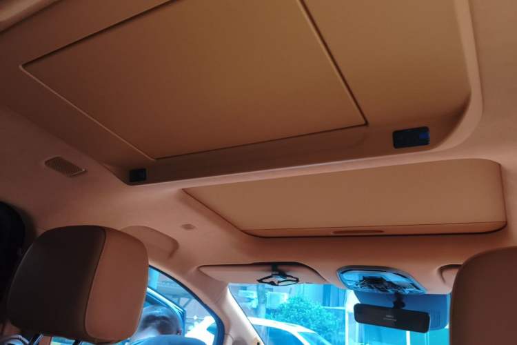 Used Wey Gaoshan 2025 Four-Wheel Drive Alpine 8 Headliner