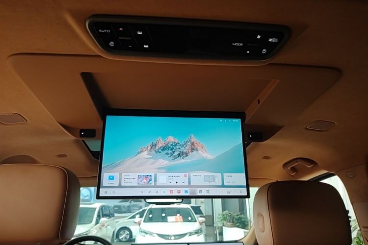 Used Wey Gaoshan 2025 Four-Wheel Drive Alpine 8 Headliner