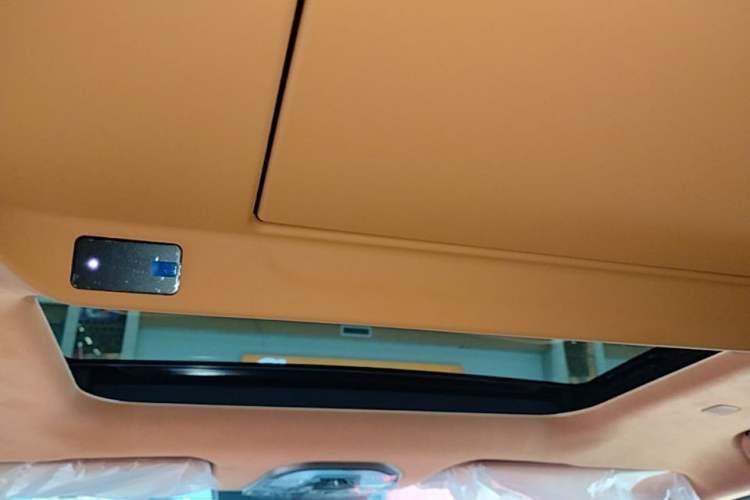 Used Wey Gaoshan 2025 Four-Wheel Drive Alpine 8 Headliner