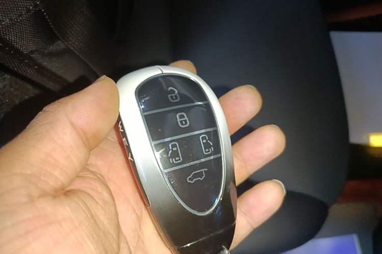 Used Wey Gaoshan 2025 Four-Wheel Drive Alpine 8 Interior 1
