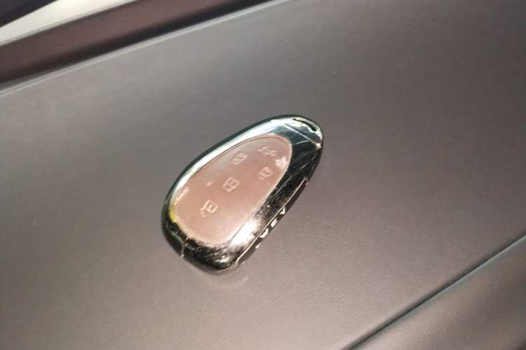 Used Wey Gaoshan 2025 Four-Wheel Drive Alpine 8 Interior 1