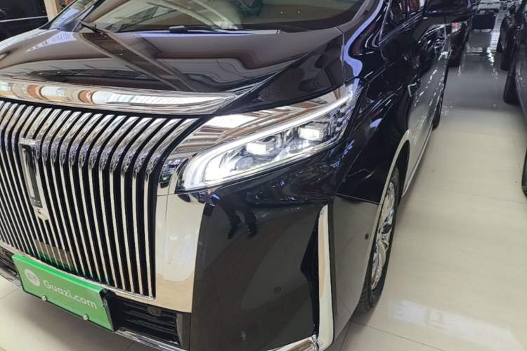 Used Wey Gaoshan 2025 Four-Wheel Drive Alpine 8 Left Front Headlight