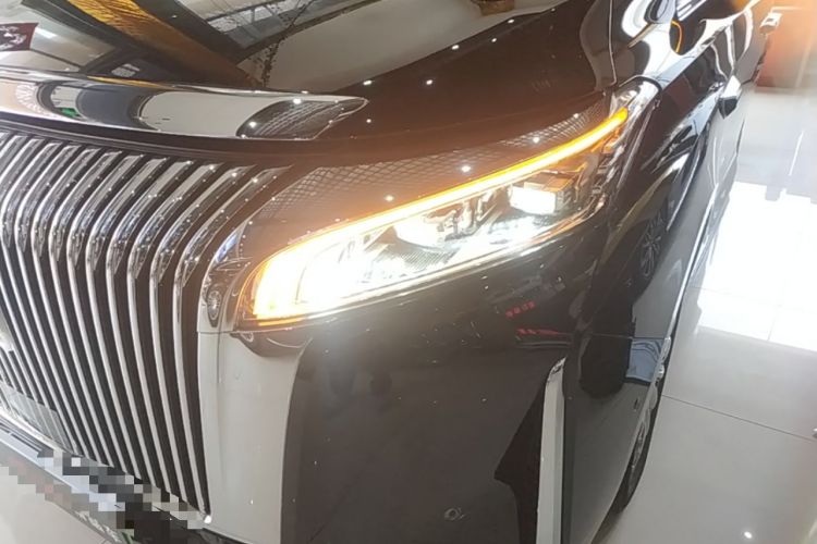 Used Wey Gaoshan 2025 Four-Wheel Drive Alpine 8 Left Front Headlight