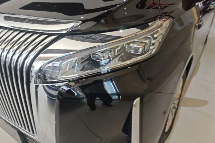 Used Wey Gaoshan 2025 Four-Wheel Drive Alpine 9 Left Front Headlight