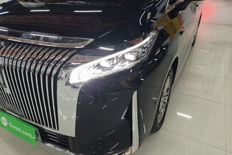 Used Wey Gaoshan 2025 Four-Wheel Drive Alpine 8 Left Front Headlight