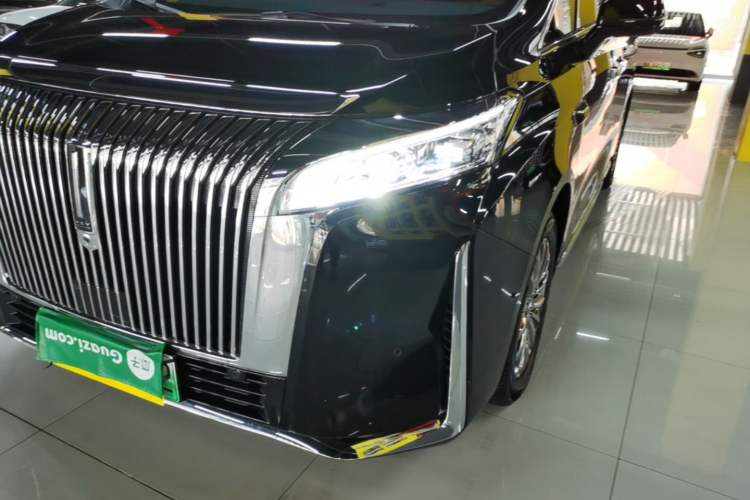 Used Wey Gaoshan 2025 Four-Wheel Drive Alpine 8 Left Front Headlight