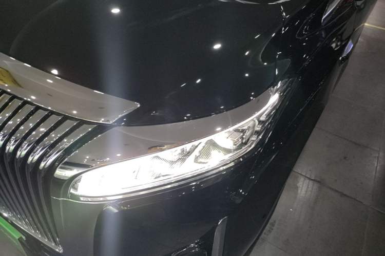 Used Wey Gaoshan 2025 Four-Wheel Drive Alpine 8 Left Front Headlight