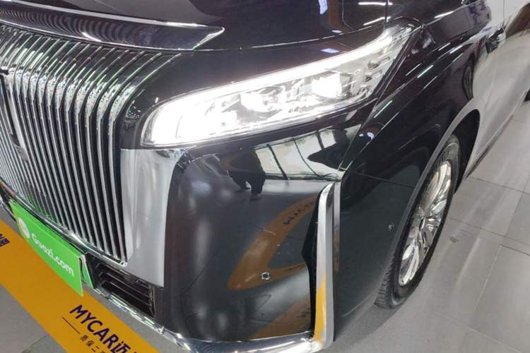 Used Wey Gaoshan 2025 Four-Wheel Drive Alpine 8 Left Front Headlight