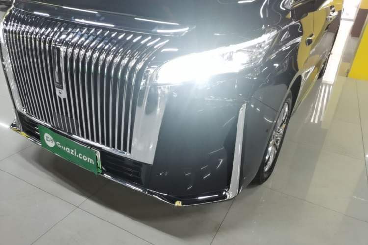 Used Wey Gaoshan 2025 Four-Wheel Drive Alpine 8 Left Front Headlight