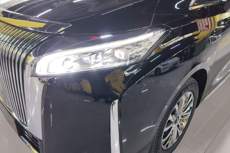 Used Wey Gaoshan 2025 Four-Wheel Drive Alpine 8 Left Front Headlight