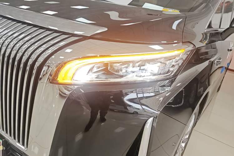 Used Wey Gaoshan 2025 Four-Wheel Drive Alpine 8 Left Front Headlight