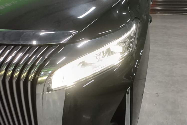 Used Wey Gaoshan 2025 Four-Wheel Drive Alpine 8 Left Front Headlight