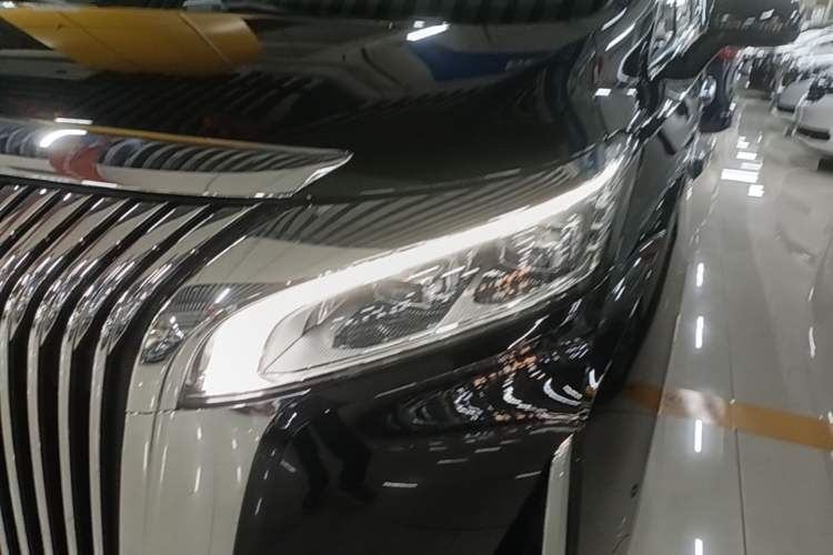 Used Wey Gaoshan 2025 Four-Wheel Drive Alpine 9 Left Front Headlight