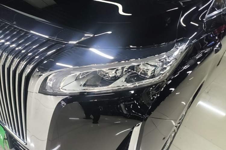 Used Wey Gaoshan 2025 Four-Wheel Drive Alpine 8 Left Front Headlight