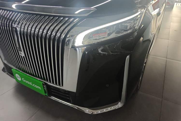 Used Wey Gaoshan 2025 Four-Wheel Drive Alpine 8 Left Front Headlight