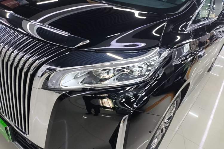Used Wey Gaoshan 2025 Four-Wheel Drive Alpine 8 Left Front Headlight