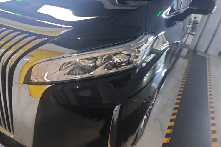 Used Wey Gaoshan 2025 Four-Wheel Drive Alpine 8 Left Front Headlight