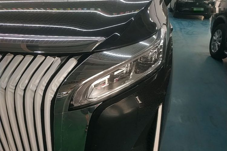 Used Wey Gaoshan 2025 Four-Wheel Drive Alpine 8 Left Front Headlight
