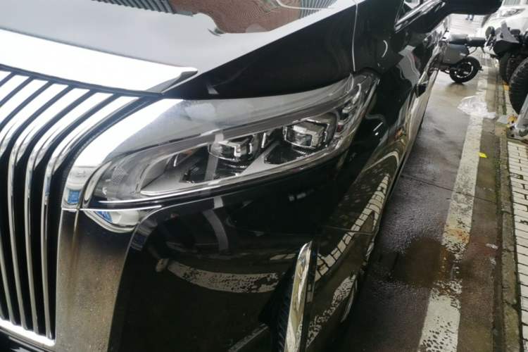 Used Wey Gaoshan 2025 Four-Wheel Drive Alpine 8 Left Front Headlight