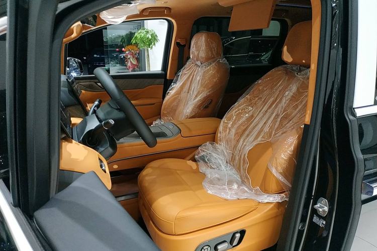 Used Wey Gaoshan 2025 Four-Wheel Drive Alpine 9 Left Front Seat
