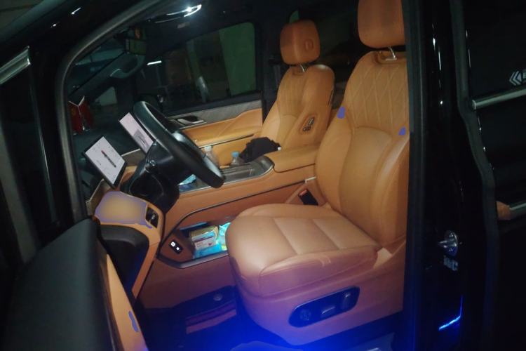 Used Wey Gaoshan 2025 Four-Wheel Drive Alpine 8 Left Front Seat