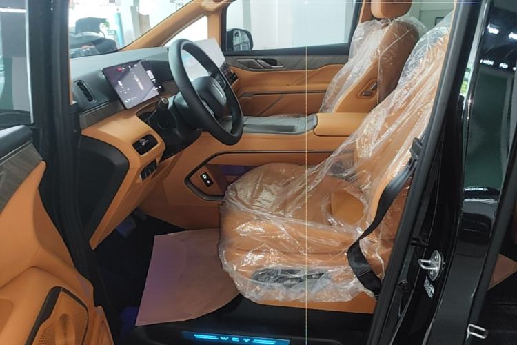 Used Wey Gaoshan 2025 Four-Wheel Drive Alpine 8 Left Front Seat